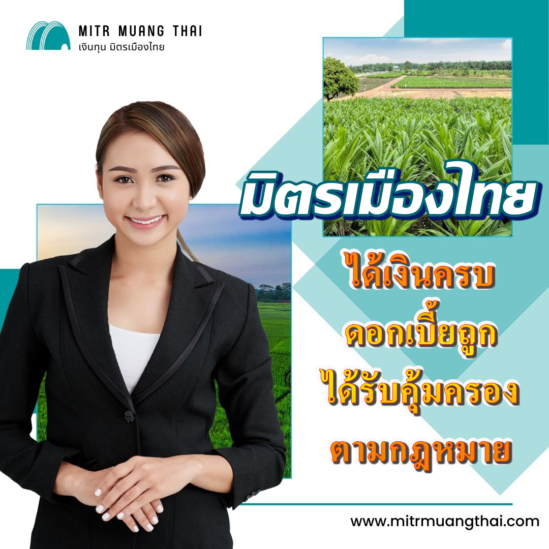 มิตรเมืองไทย เงินทุน ขายฝาก ขายฝากที่ดิน